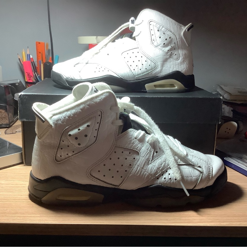 Retro Air Jordan 6: Alligator